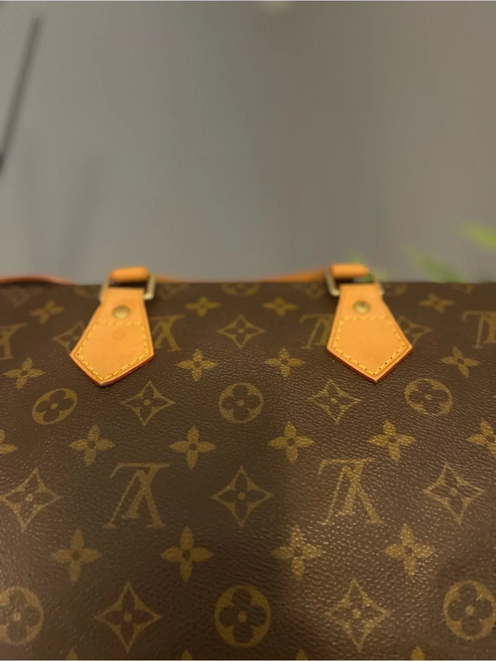 Louis Vuitton iconic louis